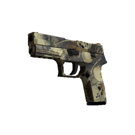 P250 | Contamination  (Minimal Wear)