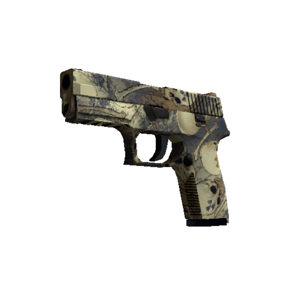 P250 | Contamination  (Factory New)