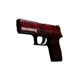 P250 | Muertos  (Battle-Scarred)