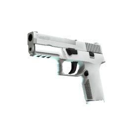 P250 | Whiteout  (Minimal Wear)