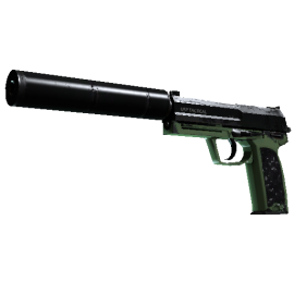 USP-S | Para Green  (Well-Worn)