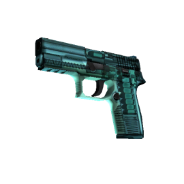 StatTrak™ P250 | X-Ray  (Factory New)