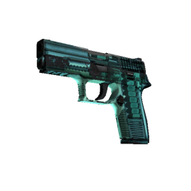 StatTrak™ P250 | X-Ray  (Field-Tested)