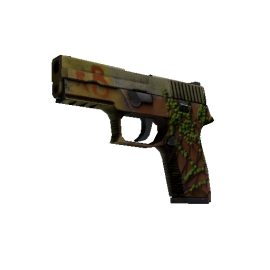 StatTrak™ P250 | Inferno  (Battle-Scarred)