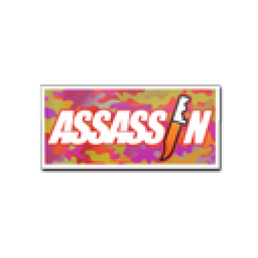 Sticker | Assassin (Holo)