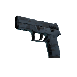 P250 | Forest Night  (Factory New)