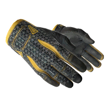 Sport Gloves | Omega  (Well-Worn)