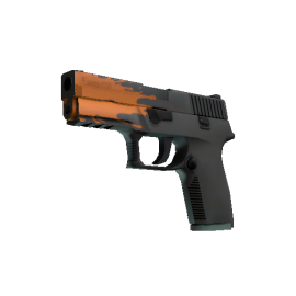 P250 | Splash  (Minimal Wear)