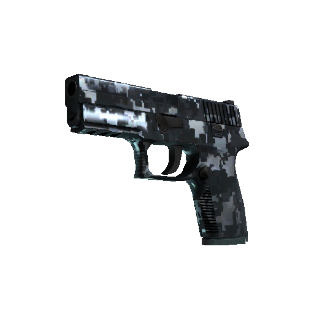 P250 | Steel Disruption  (Minimal Wear)