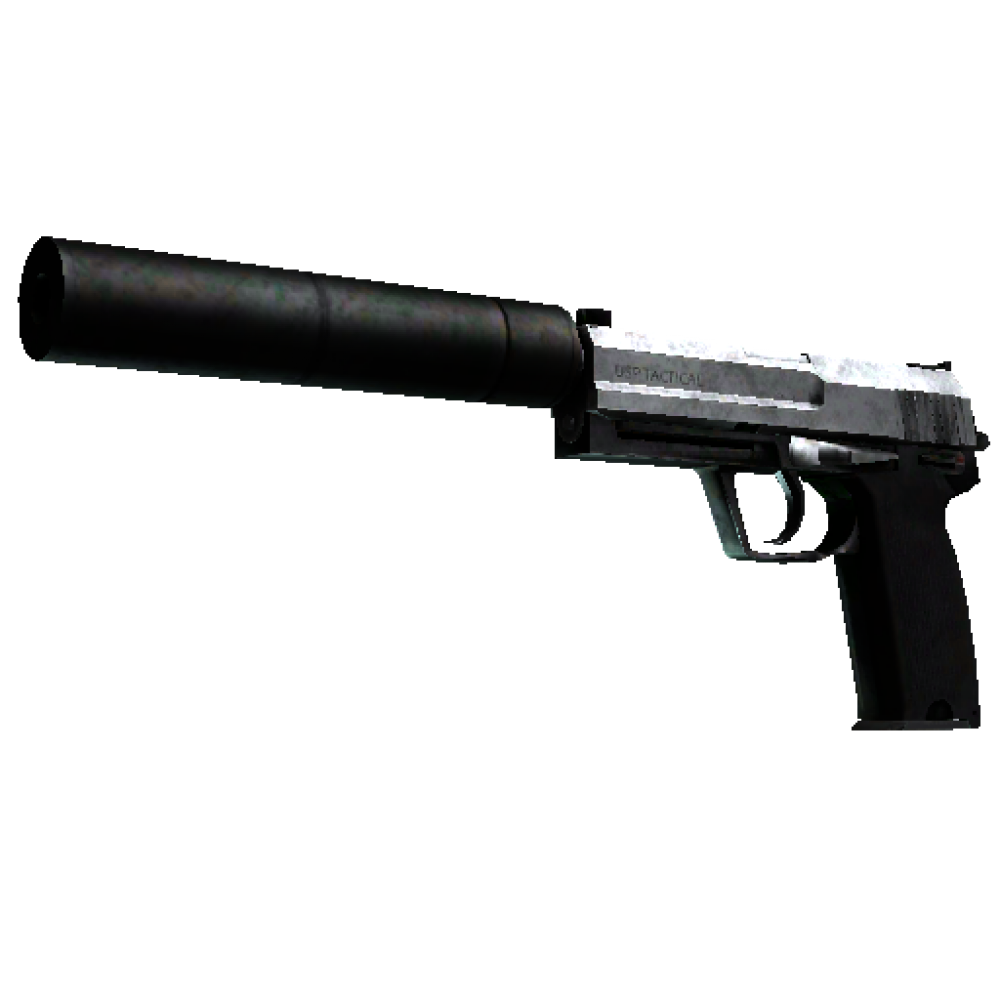 USP-S | Stainless  (Battle-Scarred)